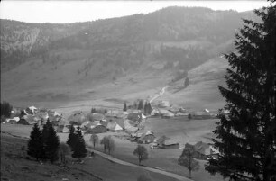 Menzenschwand: Blick auf Menzenschwand