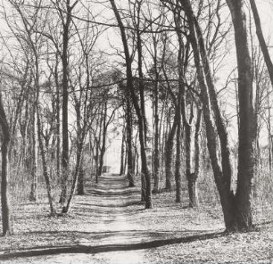 Weg zum Aussichtsturm