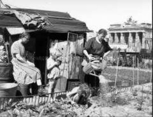 Gemüsegarten vor dem Brandenburger Tor