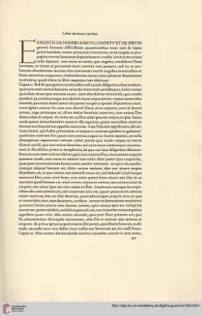 Liber decimus tertius