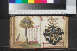 Seyfriedt, Ruprecht; Blatt 71