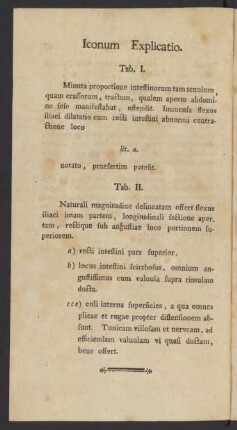 Iconum Explicatio