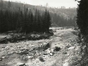 Gottleubatal-Oelsengrund unterhalb der Clemensmühle nach der Unwetterkatastrophe 8./9. Juli 1927