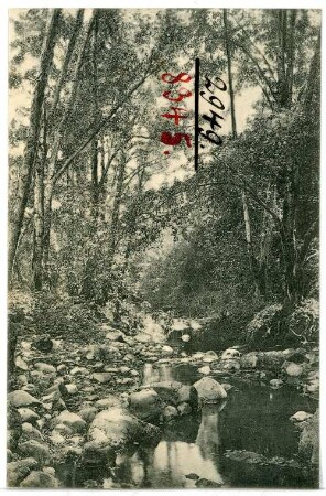 Napa, California. Dry Creek