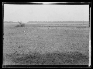 Stacheldraht im Feld