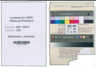 Entnazifizierung Johannes Bleckmann , geb. 06.06.1887 (Direktor)