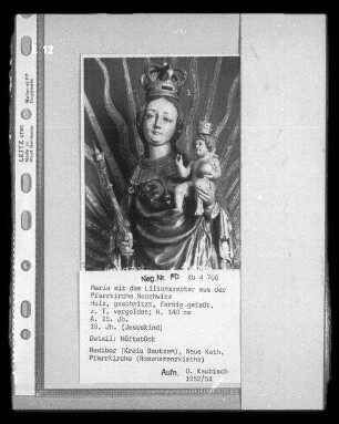 Maria mit dem Lilienszepter : Maria mit dem Lilienszepter (aus der Pfarrkirche Neschwitz). Holz, geschnitzt, farbig gefasst, zum Teil vergoldet; Höhe ca. 140 cm. Anfang 15. Jahrhundert, 18. Jahrhundert (Jesuskind). Detail: Hüftstück. Radibor, Kirche Maria Rosenkranzkönigin (Neue Pfarrkirche)