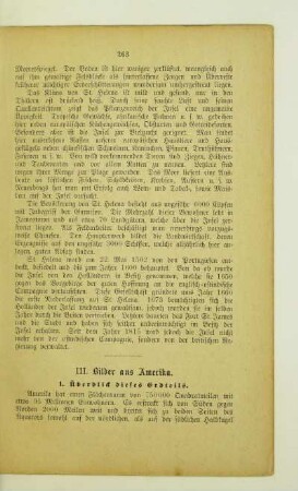 III. Bilder aus Amerika