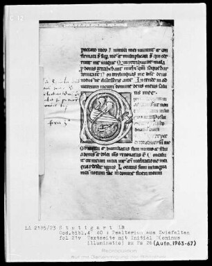 Psalterium mit Kalender — Initiale D (ominus illuminatio), Folio 21 verso