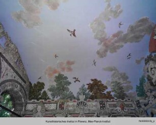 Illusionistisch bemalte Decke - Ninfeo Niccolini