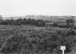 Landschaftsblick : Blick in eine Graslandschaft mit Büschen und Bäumen. Rechts im Hintergrund die Gebäude einer Ortschaft.