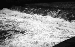 Freiburg: Wehr der Dreisam mit viel Wasser