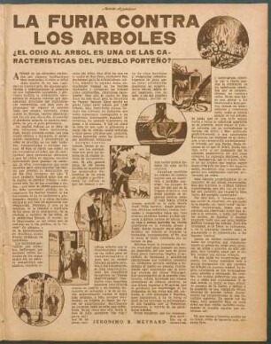La furia contra los árboles : ¿El odio al árbol es una de las características del pueblo porteño?