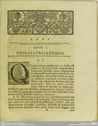 I. De linguis illis generatim
