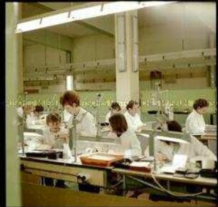 Produktion im Halbleiterwerk Frankfurt (Oder)