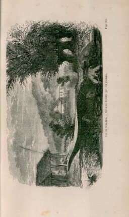 Vue de Jala-Jala. - Servante dévorée par un caiman