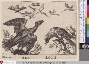[Aer; Locht; Luft]
