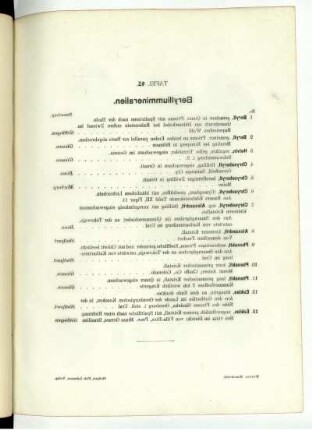 Tafel 45.