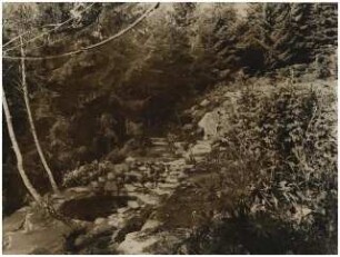 Garten Zierhut Böhmerwald: Becken