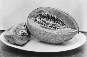Aufgeschnittene Melone : Aufgeschnittene Melone. Albuminpapier; 17 x 21 cm (um 1870; A. Kotzsch). Leipzig: Privatbesitz