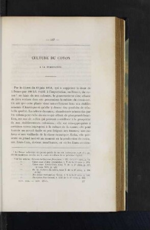 Culture du coton