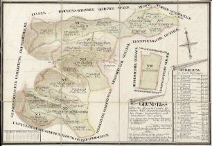 Grundriss ueber den Grosensachsemer Gemeinen Wald, Oberamts Heidelberg zur dasigen Forstmeisterei und Schriesheimer Forst gehörig