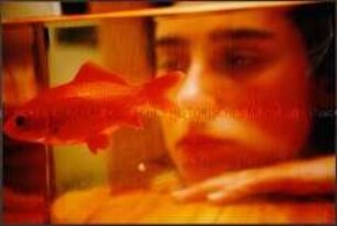 Mädchen schaut in ein Goldfischglas (Sonderthema: Langeweile)