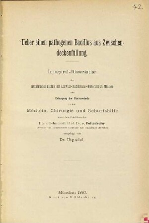 Über einen pathogenen Bacillus aus Zwischendeckenfüllung : Inaug.-Dissert.