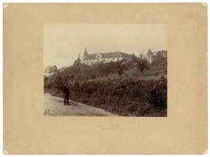 Schloss Wilhelmsburg