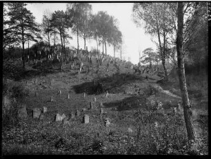 Hemsbach Judenfriedhof Grabstein