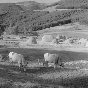 Ländliche Gegend bei Kopriwschtiza im zentralen Teil des Sredna-Gora-Gebirges
