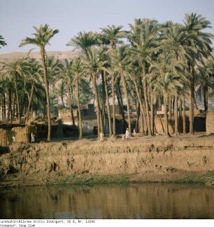 Ägypten: Szenen am Nilufer