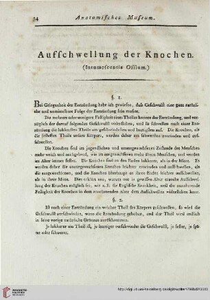 Aufschwellung der Knochen
