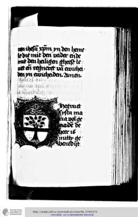 Mariengebet mit Ave Maria, Magnificat, Salve Regina im Wechsel