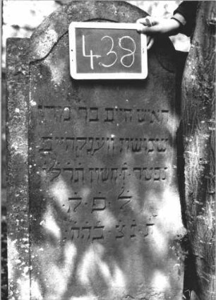Grabstein 438 (Index: 99895655) Material: Sandstein Zustand: sehr gut Maße HxBxT: 124x63x10 cm Beschreibung: Stele mit eingezogenem Rundbogenabschluss: Grabstein 438 (2)