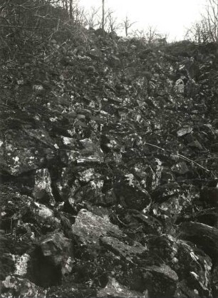 Oberlausitz. NSG Rotstein. Basaltblockhalde "Steinernes Meer" am Südhang