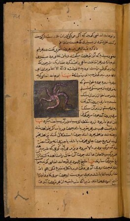 Illustration: f. 71r-71v