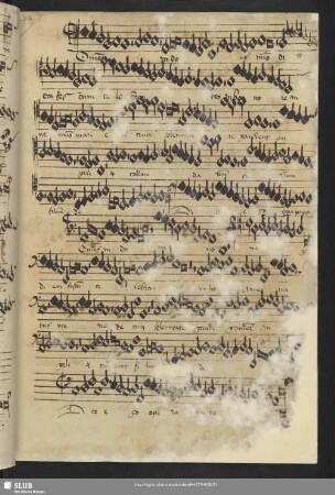 [Anon.: Gaudeamus] omnes in Domino