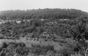 Wachholderlandschaft : Blick auf einen Wachholderlandschaft auf dem Weg zum Felsen Wackerstein. Mittig der Eingang zur Nebelhöhle.