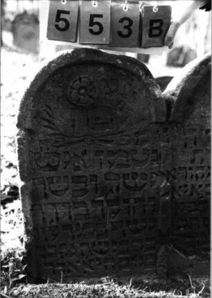 Grabstein 553 (Index: 99753016) Material: Sandstein Zustand: leicht beschädigt, sonst gut Maße HxBxT: 78x87x11 cm Beschreibung: Doppelstele, Schriftfelder eingetieft Symbolik: zwei Blüten, Ranken: Grabstein 553B