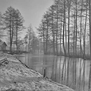 Landschaftsbild. Winter im Spreewald. Überflutete Wiesen und Felder bei Lübbenau - Lehde. : Wobraz krajiny. Zyma w Błótach. Łuki a pola wokoło Lubnjowa-Lědow su přepławjene.