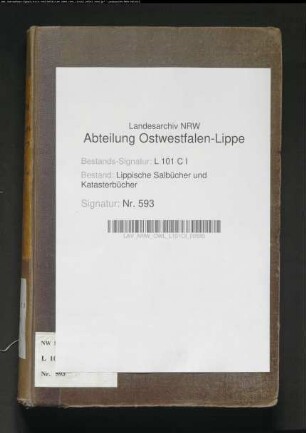 Salbuch des Fleckens Schwalenberg von 1854, Bd. 1
