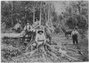Rodung im bolivianischen Urwald