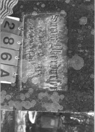 Grabstein 286 (Index: 99786542) Zustand: Vorderseite: vollständig abgeblättert, Rückseite: stark verwittert Maße HxBxT: 167x71x29 cm: Grabstein 286A