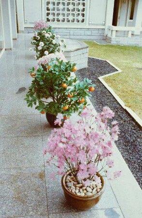Blumenkübel vor vermutlich einem Gästehaus oder Restaurant