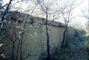 Reste der Dorfbefestigung; Stampflehmmauer mit Ziegelabdeckung