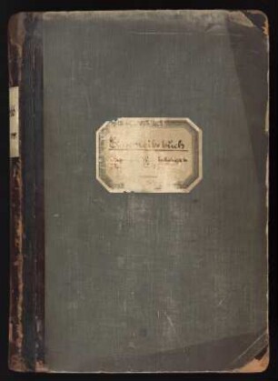 542 beschriftete Seiten, Einschreibebuch : Wintersemester 1913/1914-Sommersemester 1919