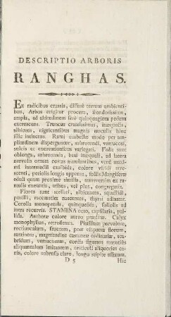 Descriptio Arboris Ranghas (unvollständig)