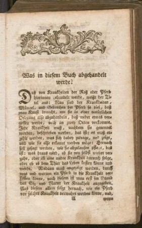 Was in diesem Buch abgehandelt werde?