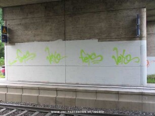 feiS Veto